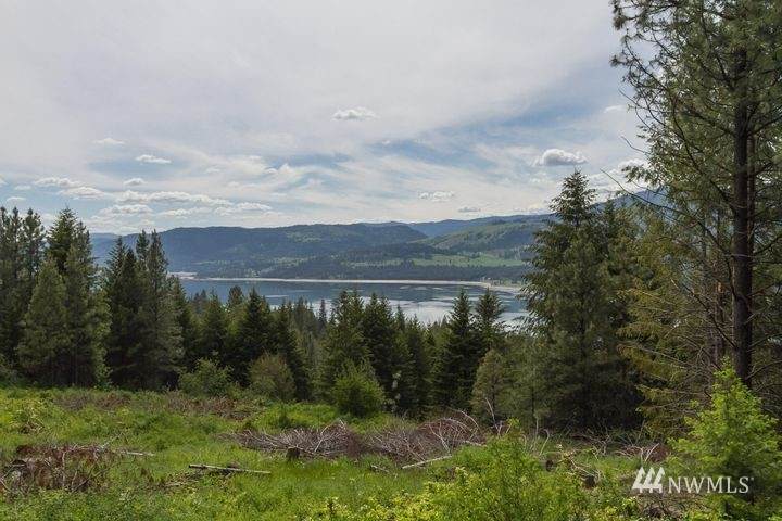 1645 Rickey Canyon Road - Photo 1