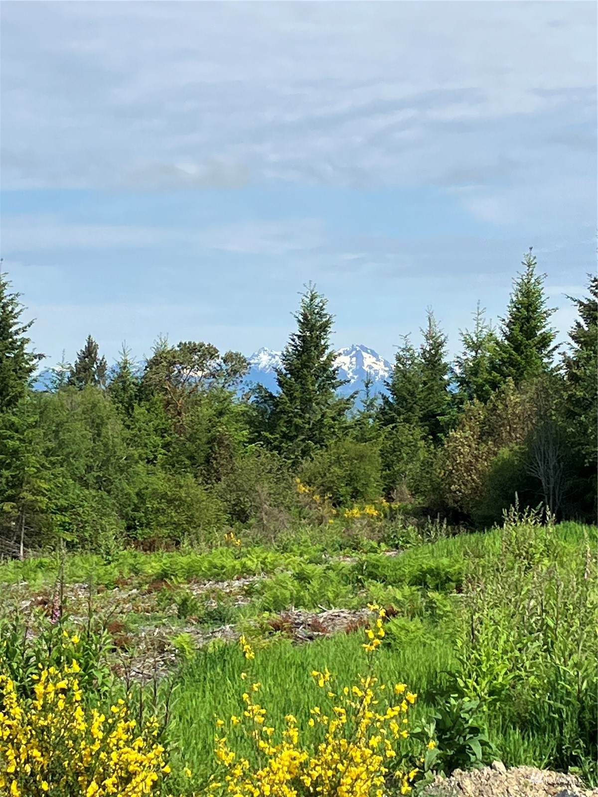 1 Lone Fir Dr Road - Photo 1