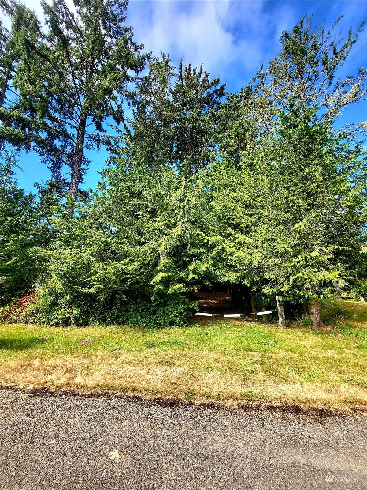 24 xx Birch Place - Photo 1