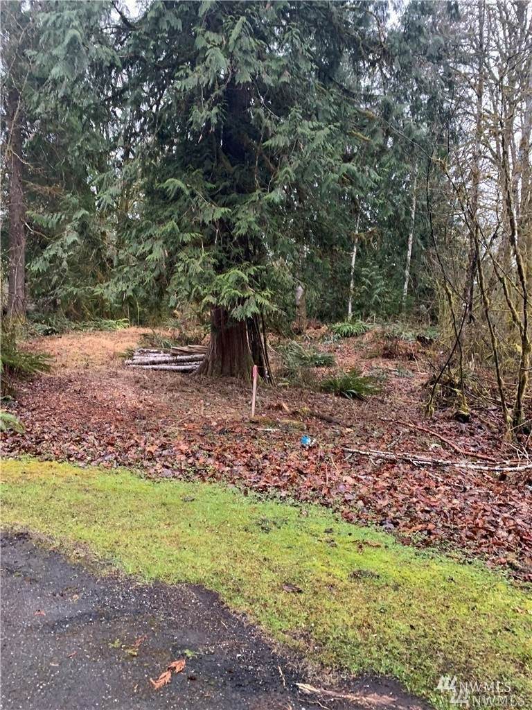 16007 Shuksan Rim Drive - Photo 1