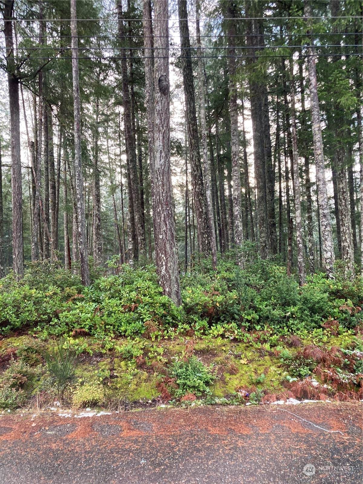 530 Road Of Tralee - Photo 1