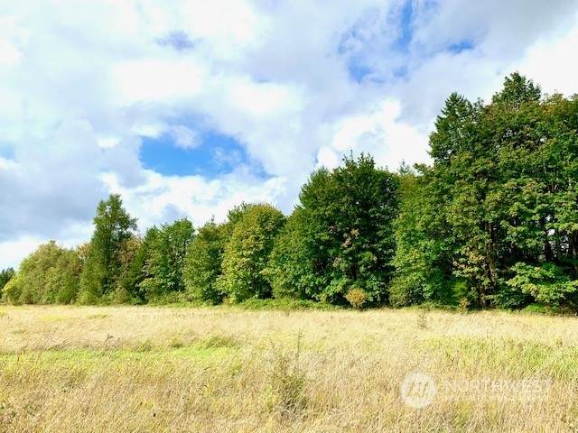 19445 Michigan Hill Road - Photo 1