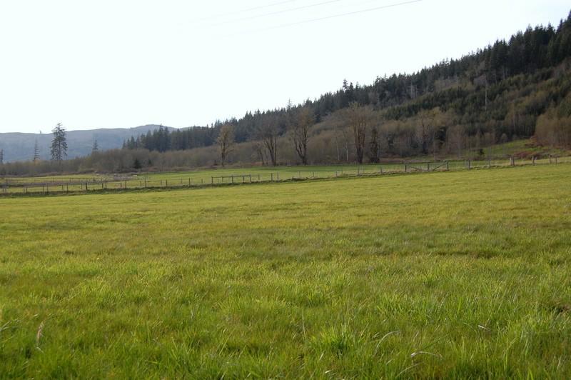 9999-Lot 14 Hwy 101 - Photo 1