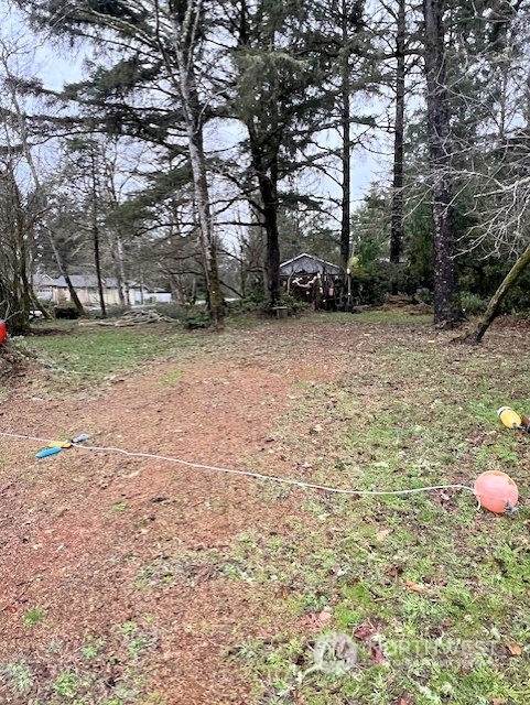 436 Mud Hen Loop - Photo 1