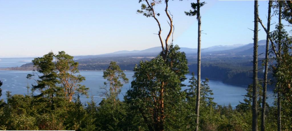 0-Lot 6 Ocean Cove Lane - Photo 1