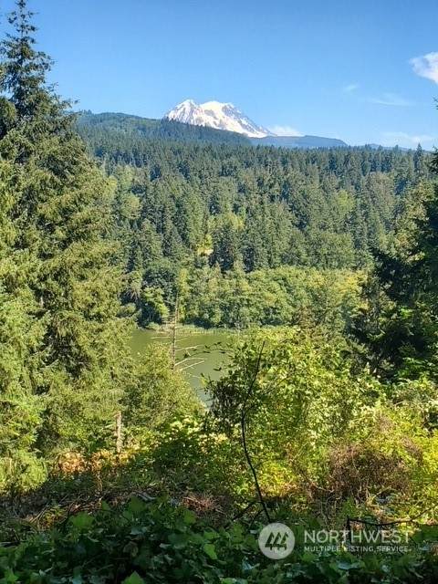 40532 114th Avenue - Photo 1