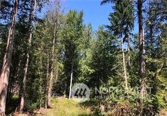 21900 70th Avenue - Photo 1