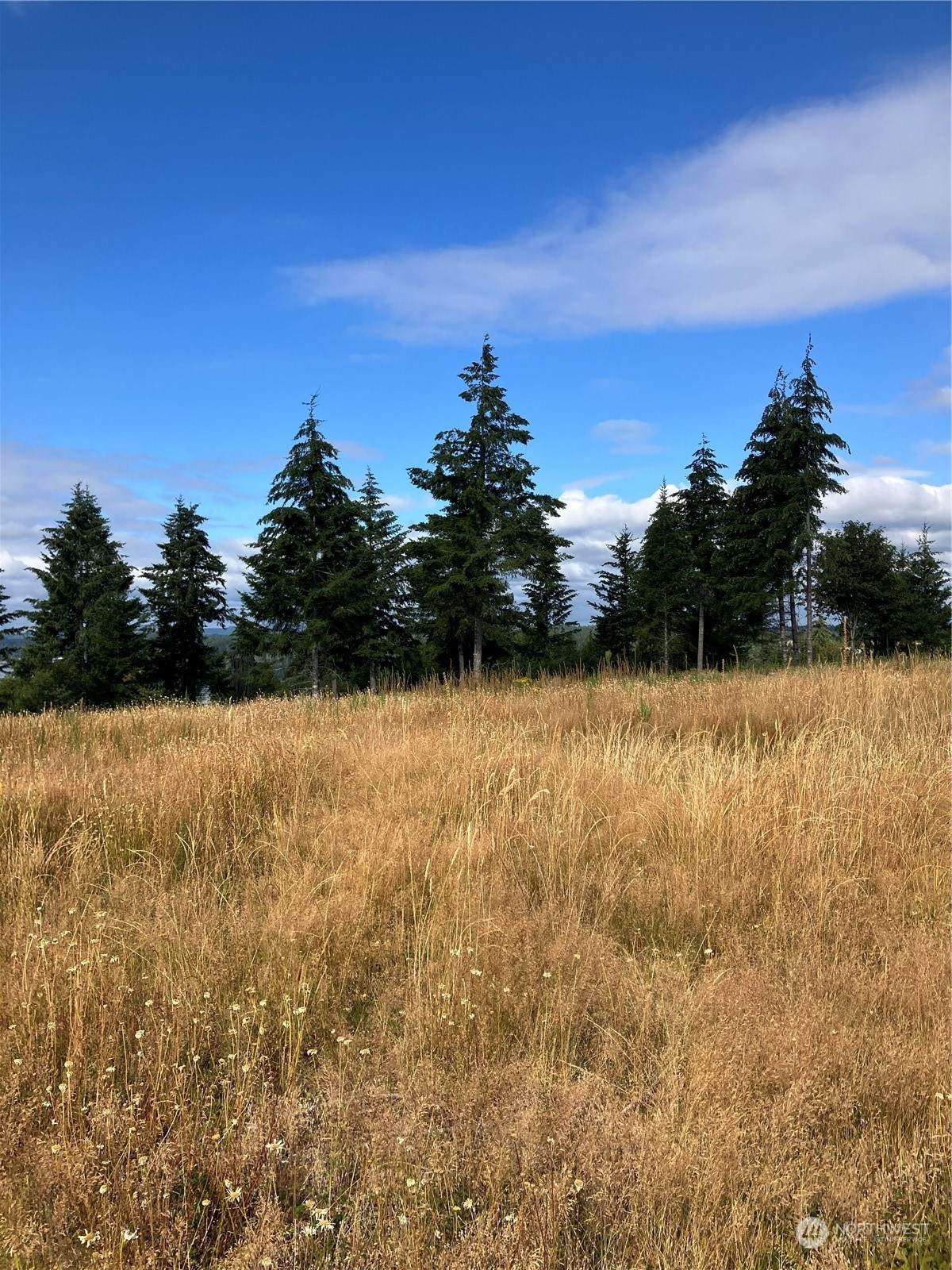 5 Lone Fir Drive Drive - Photo 1