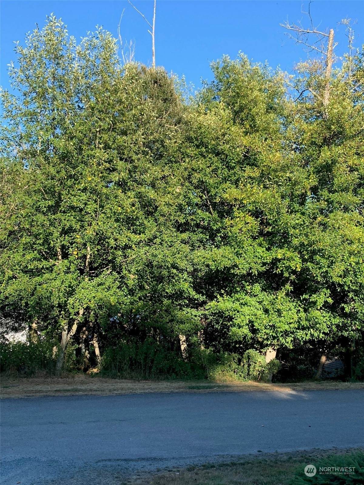 0 XXX Brittney Drive - Photo 1