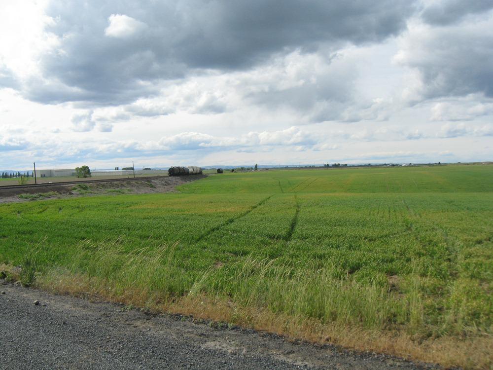 0-NNA Rd N.9 - Photo 1