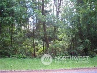 10824 Suncrest Drive - Photo 1