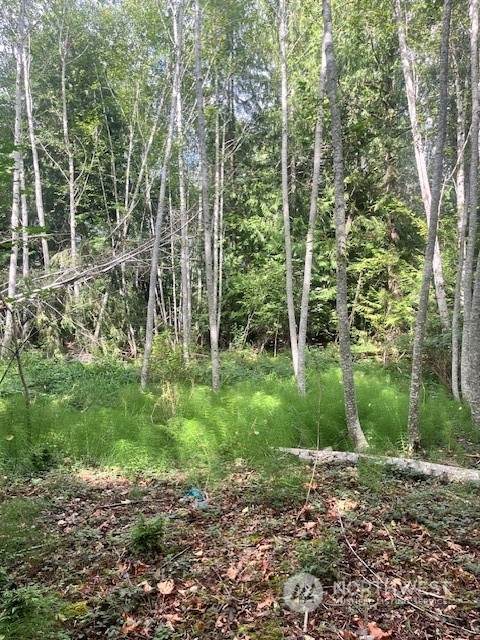 70 Lupine Place - Photo 1