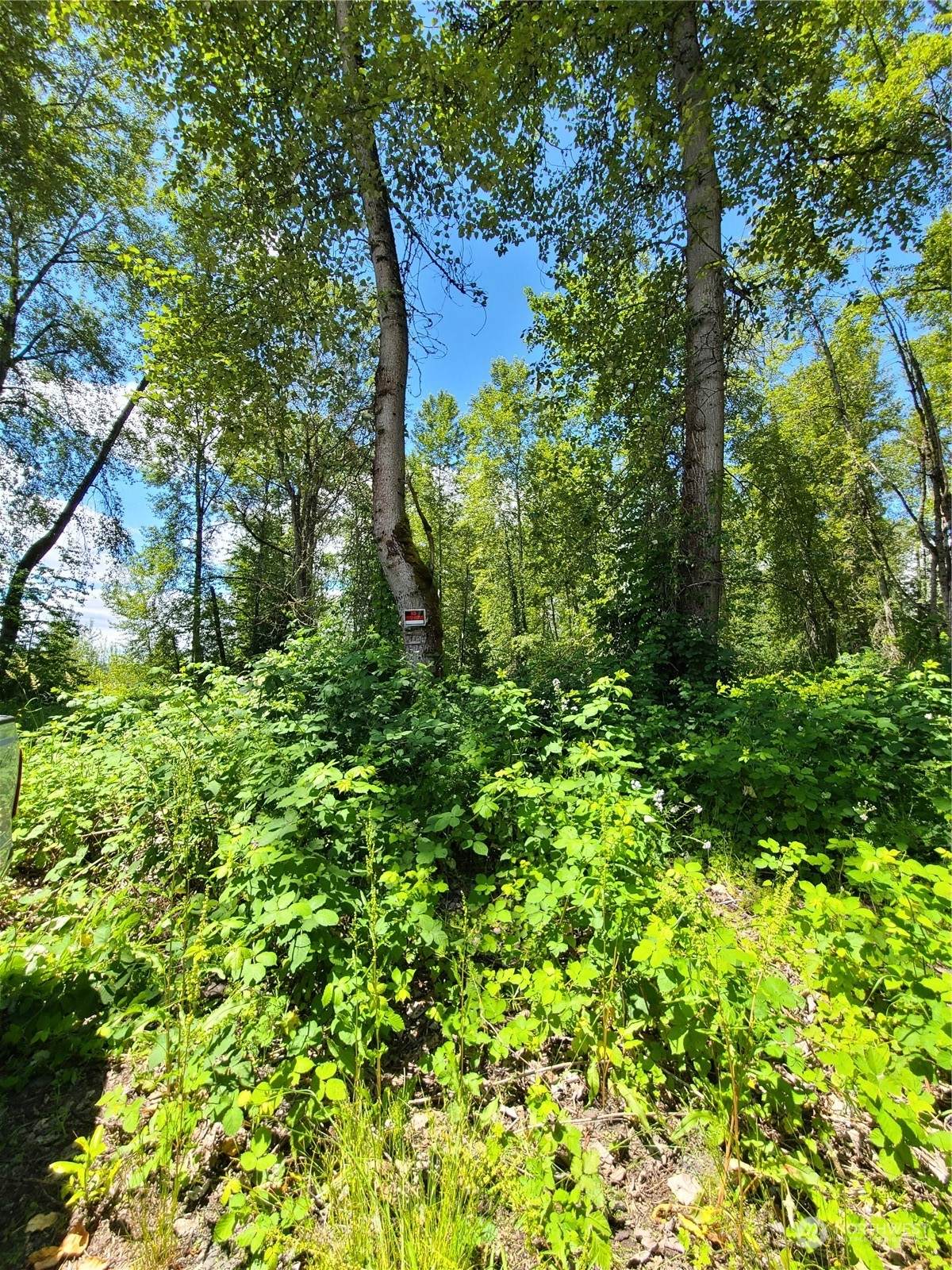 201 River Avenue - Photo 1