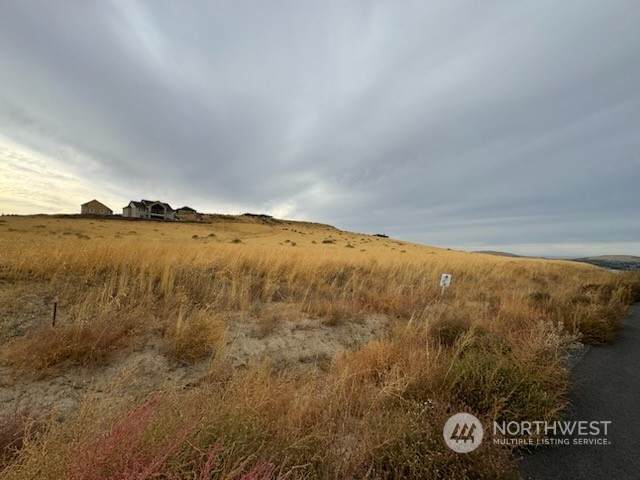 33908 Mammoth Dr - Photo 1