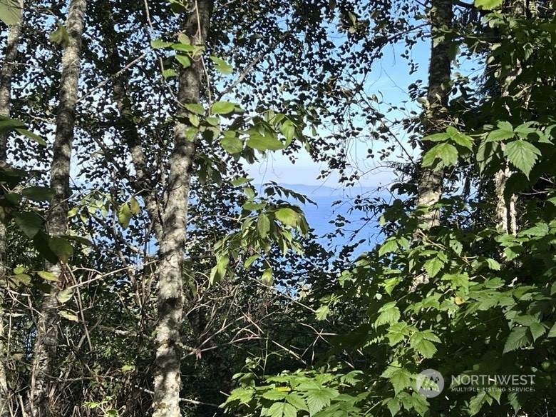9999 Olallie Trail - Photo 1