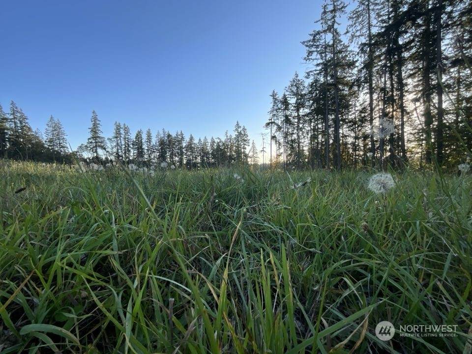 5777 Kramer Road - Photo 1
