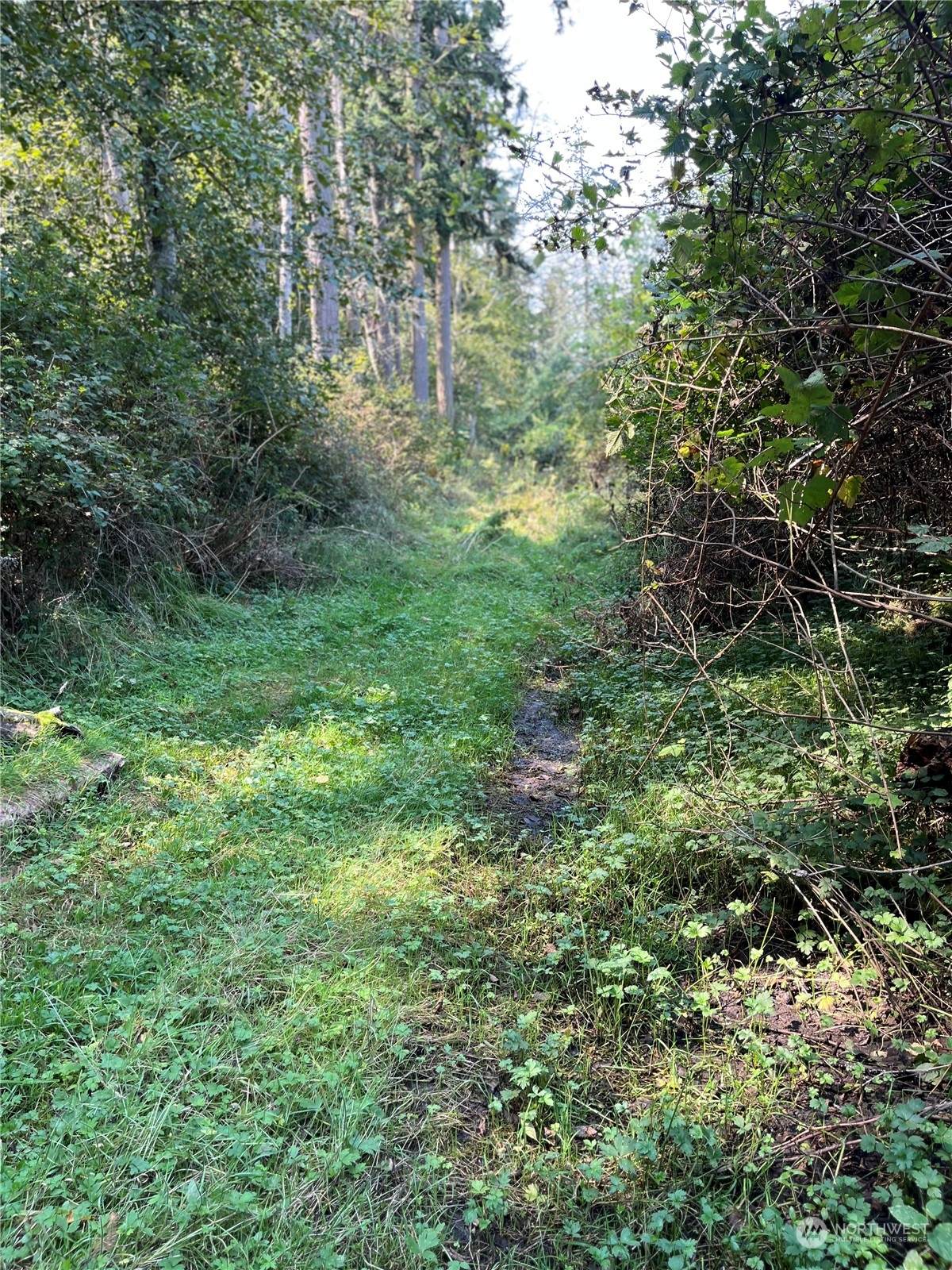 52 xx Harbor Rd. - Photo 1