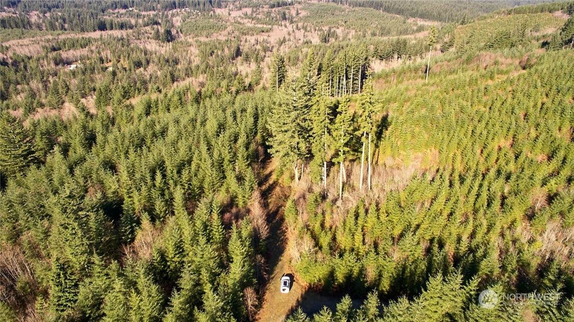 3 Jones Creek Road - Photo 1