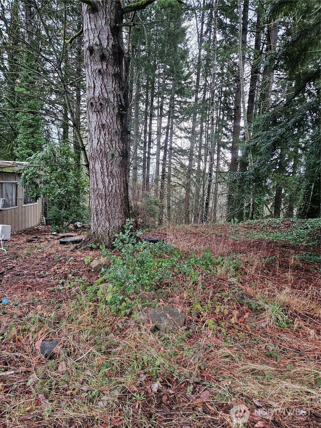 321 Barbara Boulevard - Photo 1