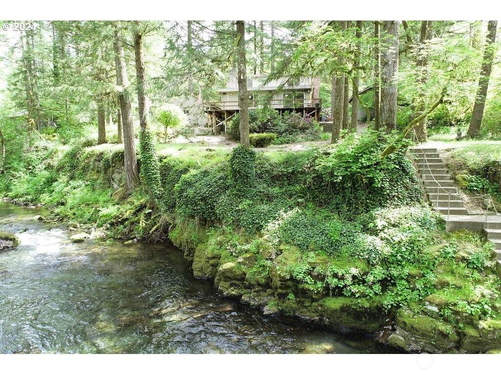 27007 Dole Valley Road - Photo 1