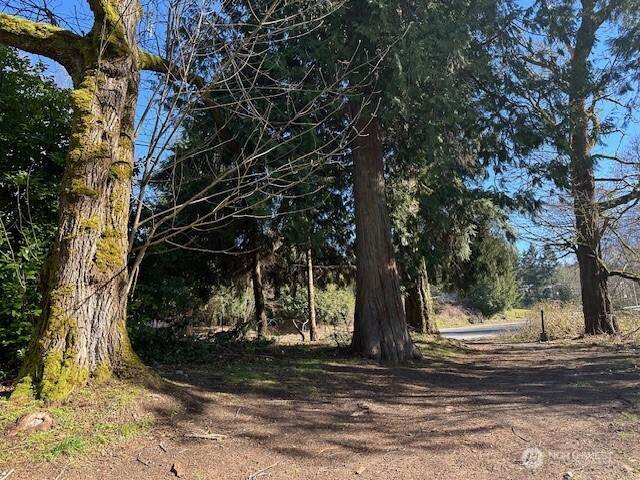 8537 State Hwy 303 - Photo 1
