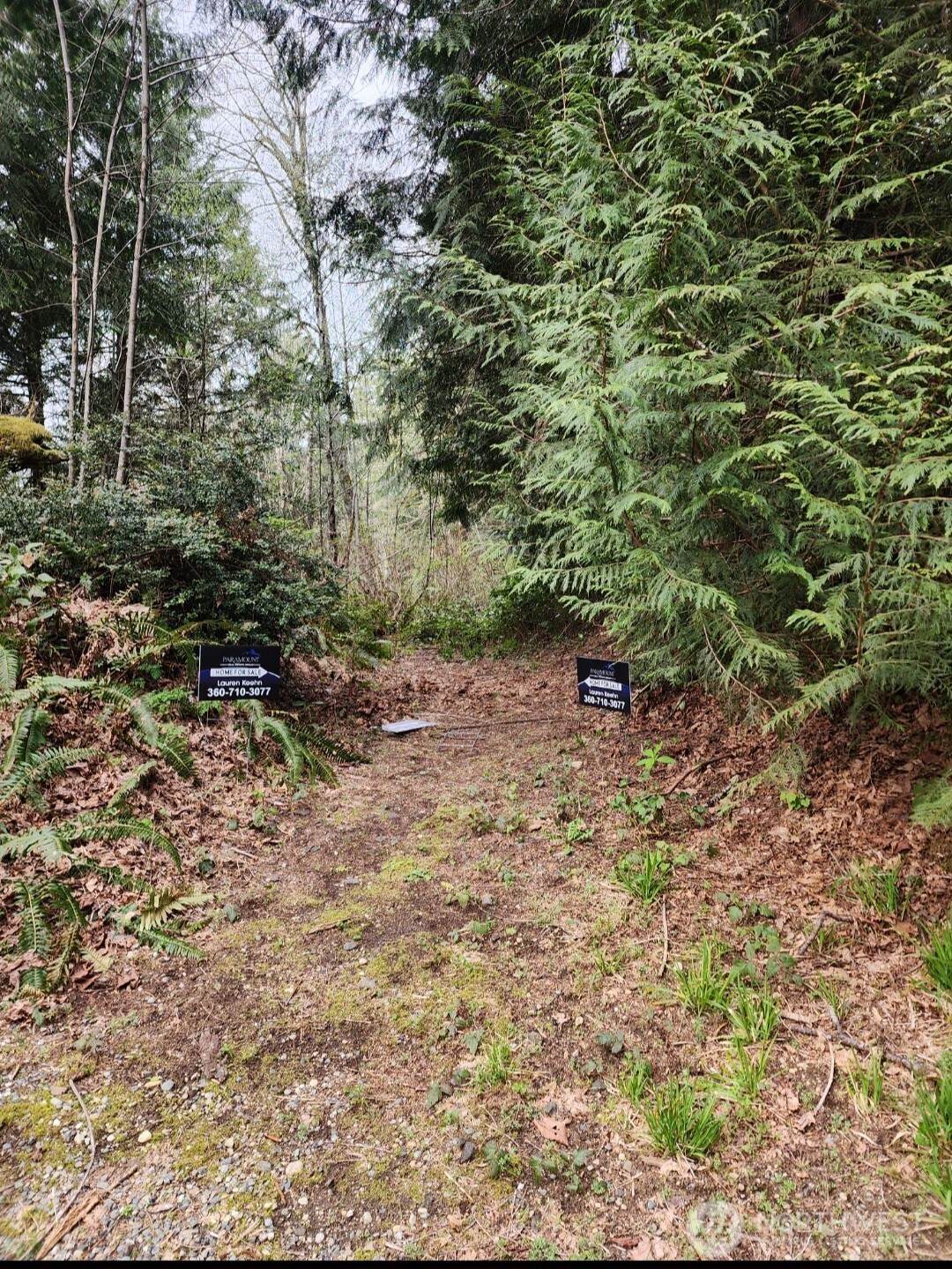 0 Shady Glen Avenue - Photo 1