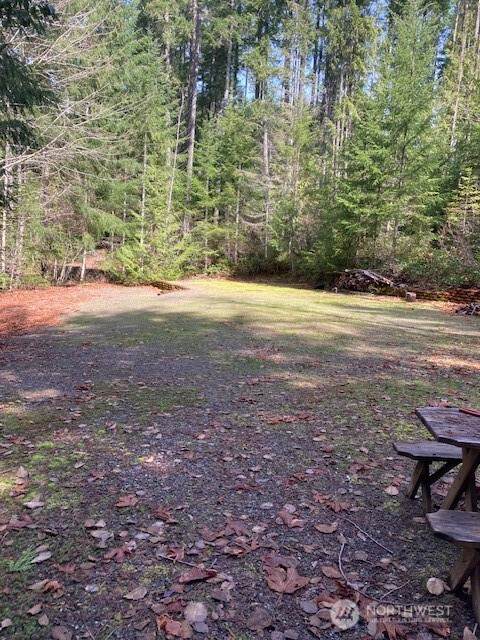 110 Dow Mountain Drive - Photo 1