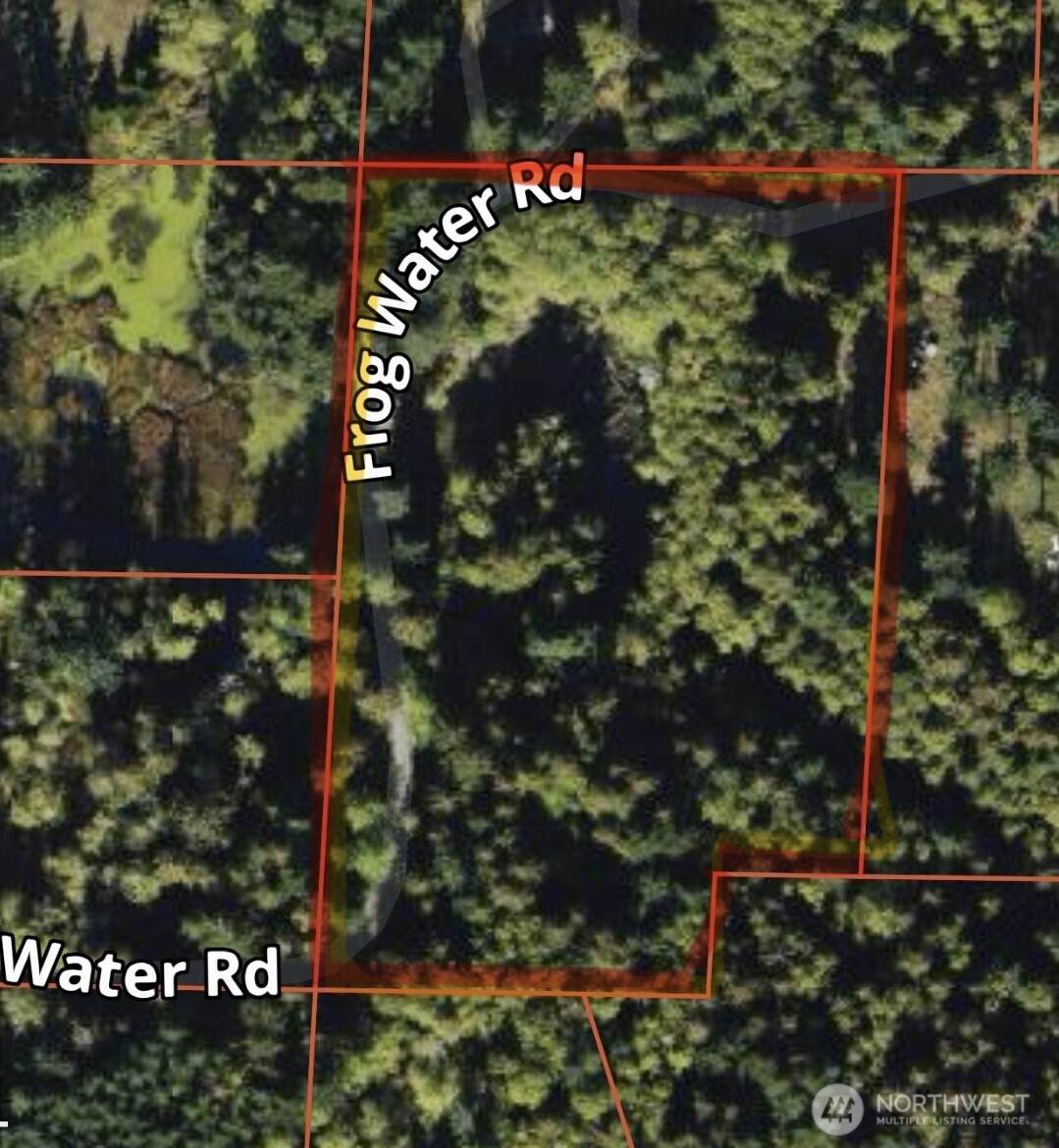 4130 Frog Water Road - Photo 1