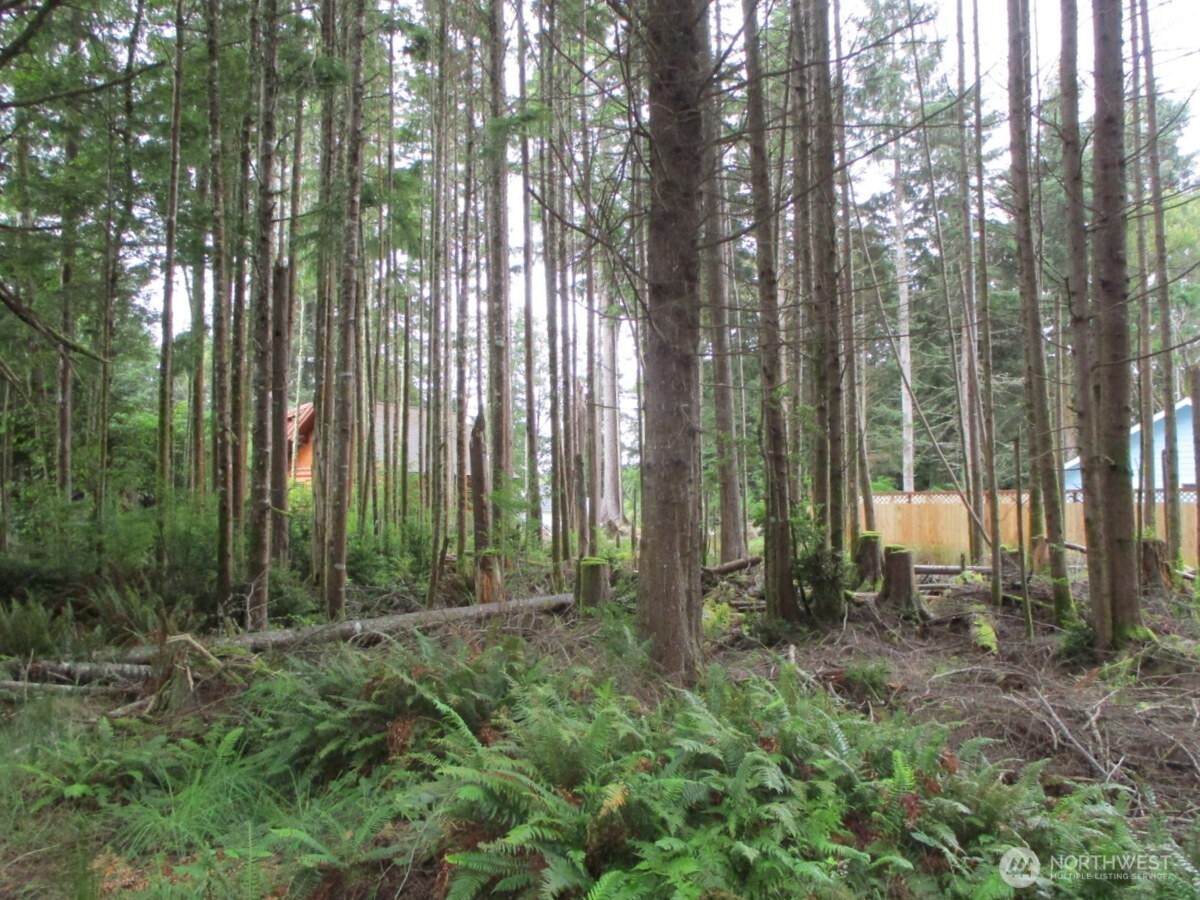 111 Olympic View Avenue - Photo 1