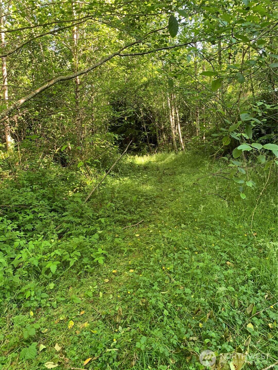 2 Tract Parpala Road - Photo 1