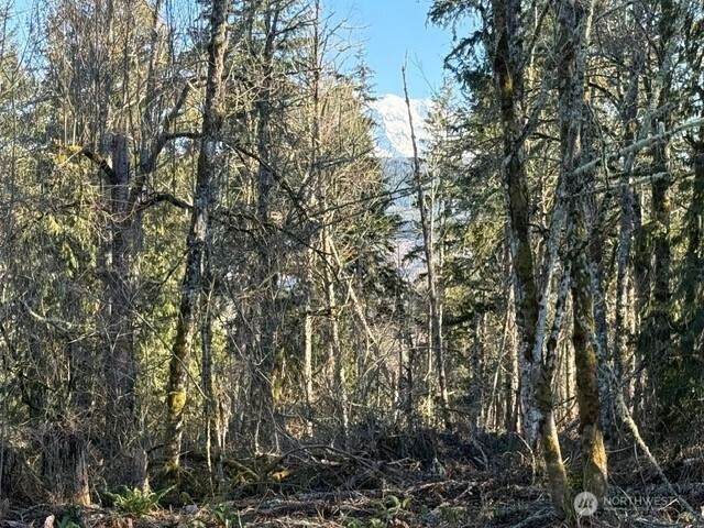 29512 152nd Avenue - Photo 1