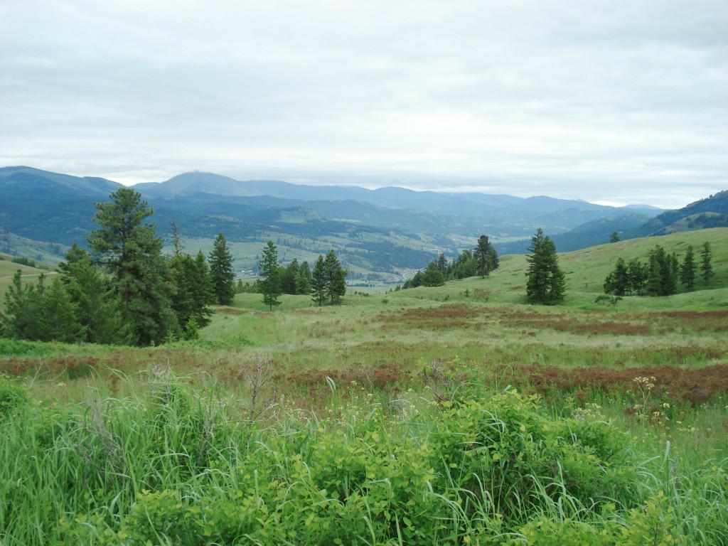 0-B-U Graves Mt. Rd - Photo 1