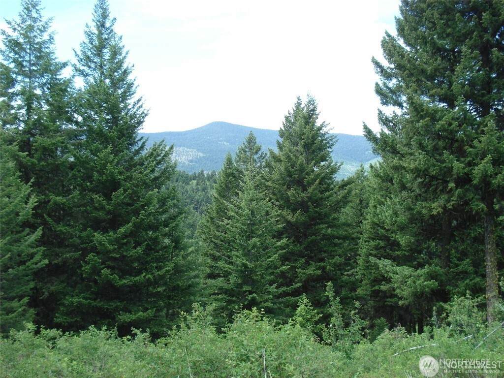 1 TBD Wellman Road - Photo 1
