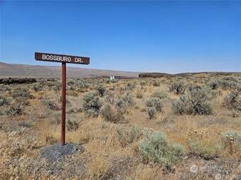 0 Lot 7 Bossburg Drive - Photo 1