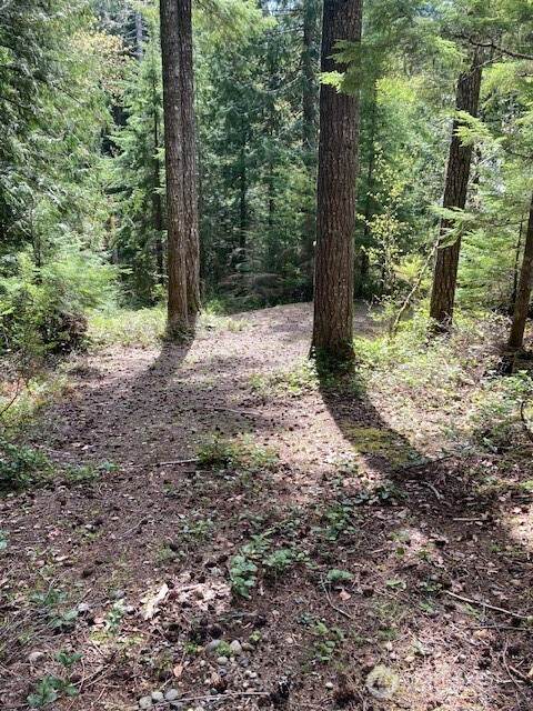 410 Mount Seattle Way - Photo 1