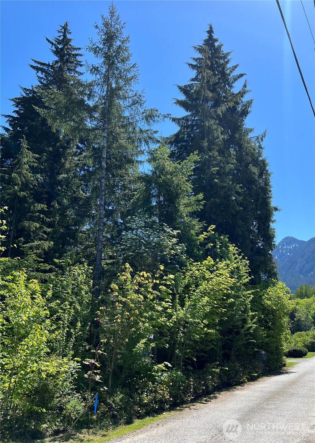 6 Stillaguamish Ln - Photo 1