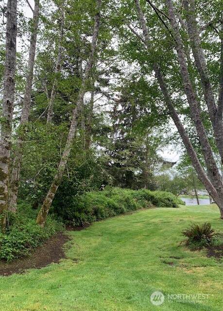 24007 Elm Place - Photo 1