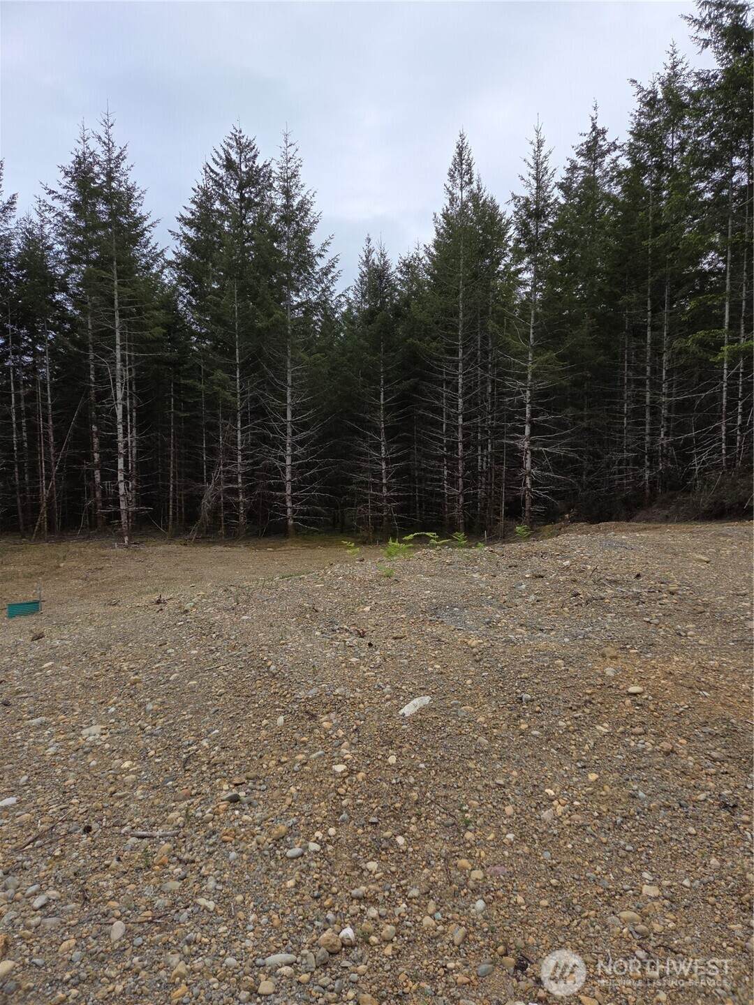 490 Pinedirosa Road - Photo 1
