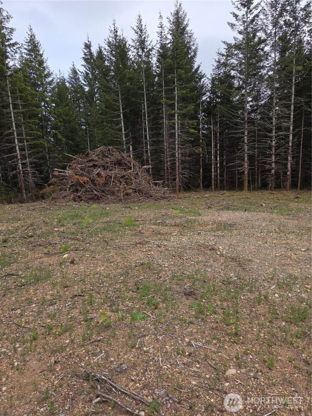 490 Pinedirosa Road - Photo 1