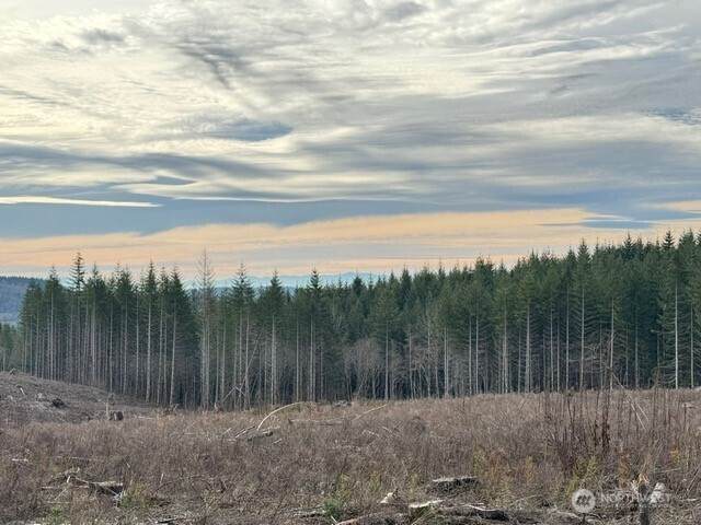 0 August Road - Photo 1