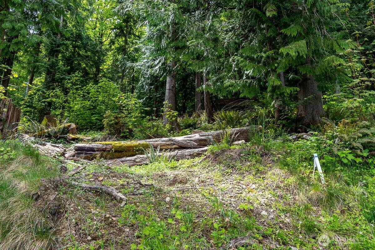 0 Alder Road - Photo 1
