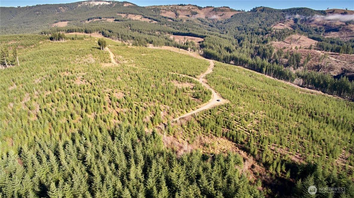 4 Jones Creek Road - Photo 1