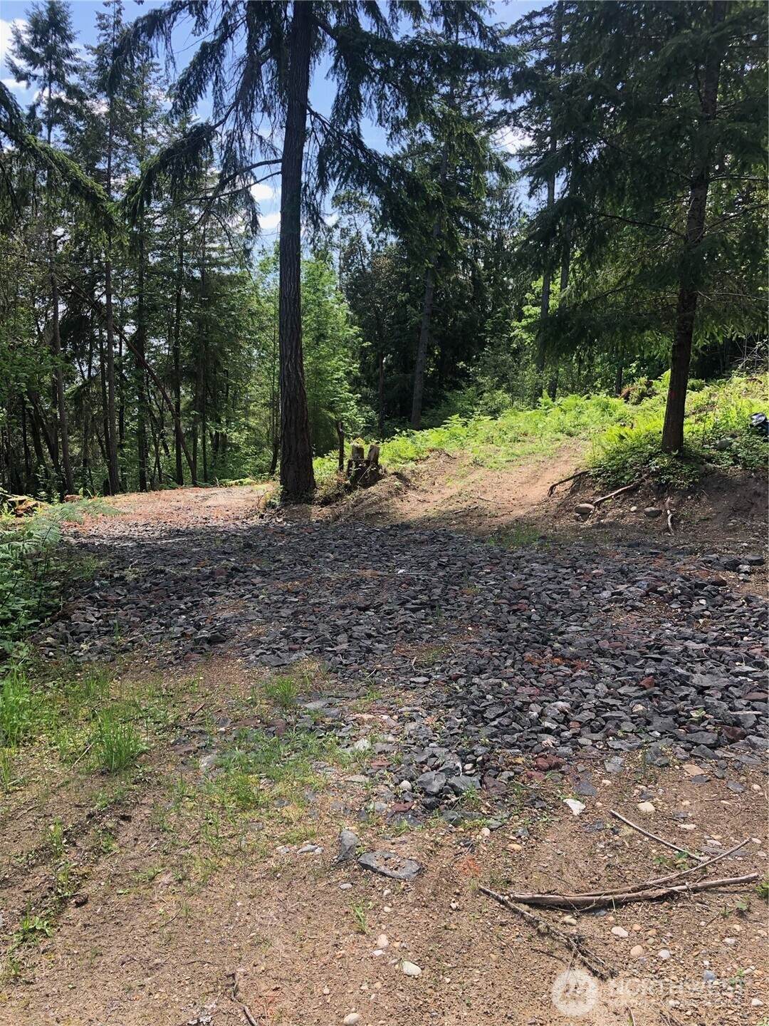 11415 189th Avenue - Photo 1