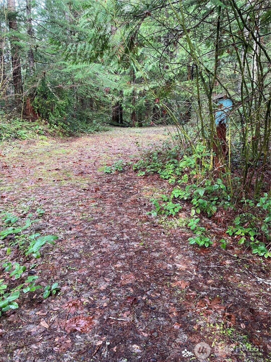 231 Goldeneye Drive - Photo 1