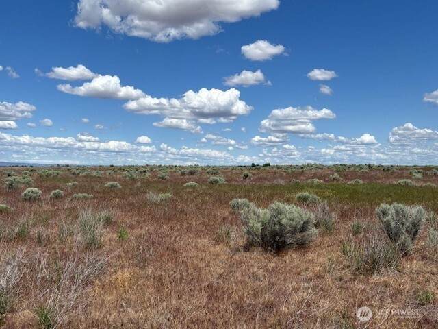 3722 Road 7.8 - Photo 1