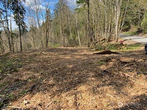 8 xxx 136th Avenue - Photo 1