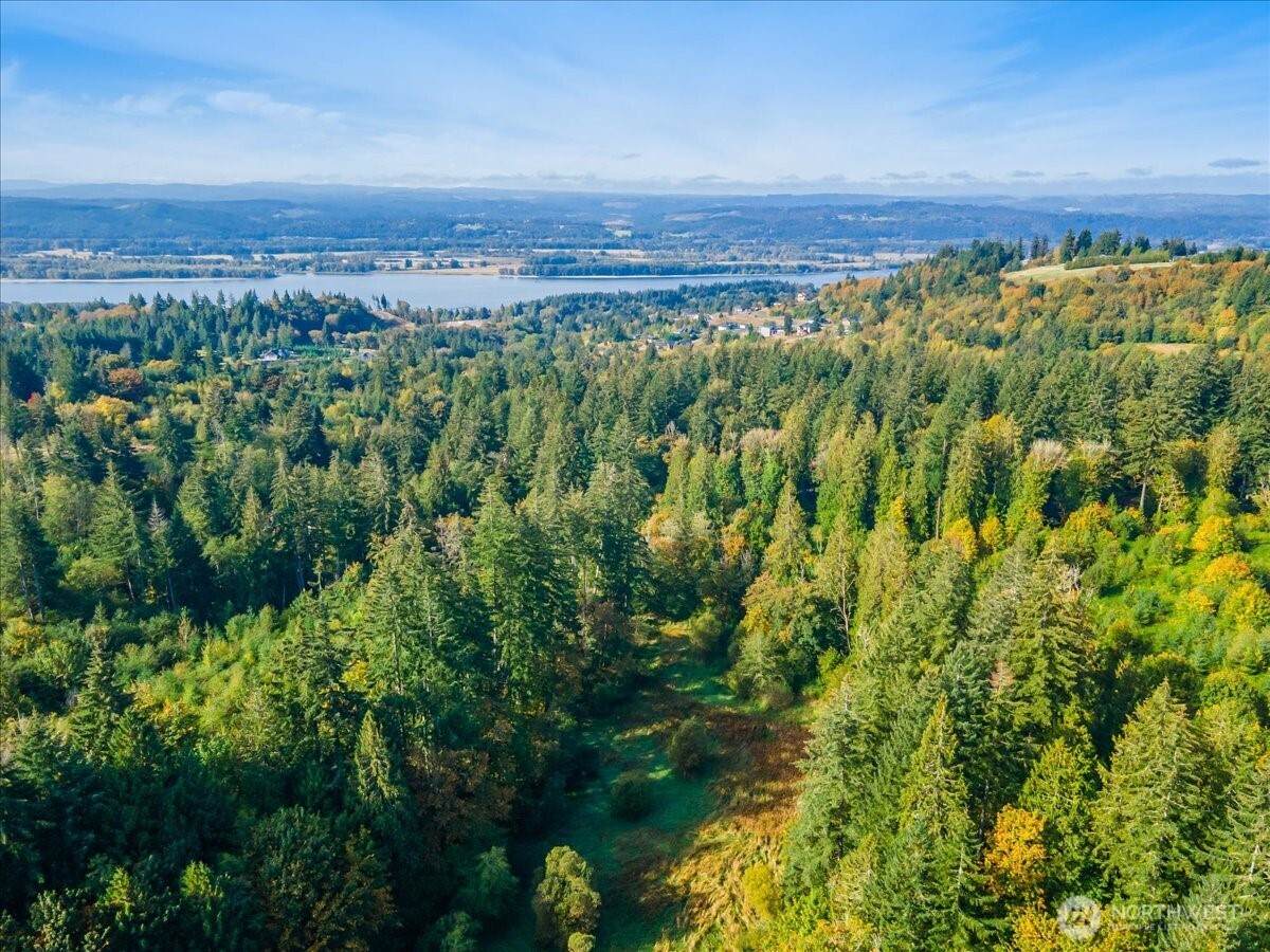 4733 Green Mountain Road - Photo 1