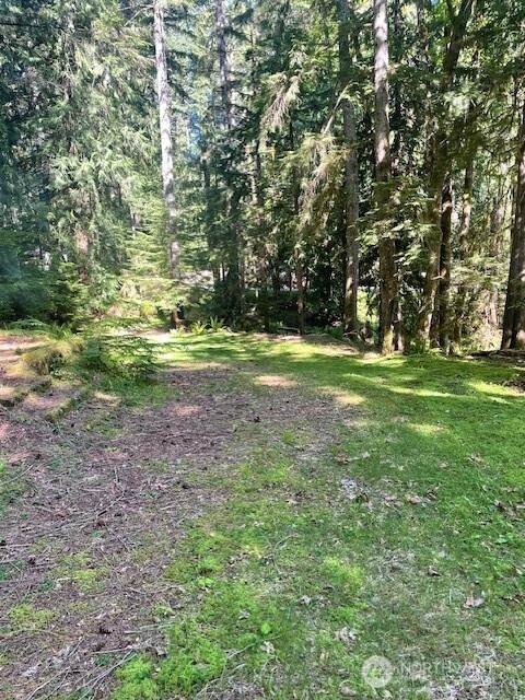 1001 Potlatch Drive - Photo 1