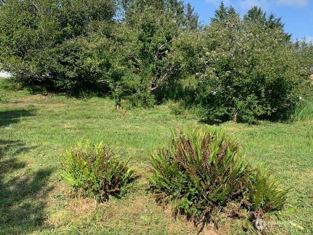 0 Ash Place - Photo 1