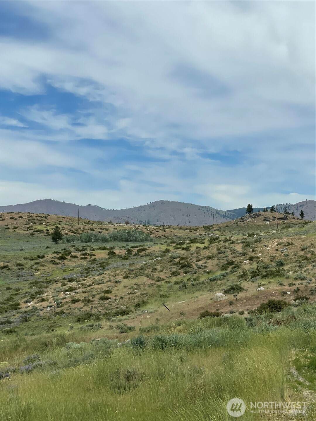 0 XX Bill Shaw Road - Photo 1
